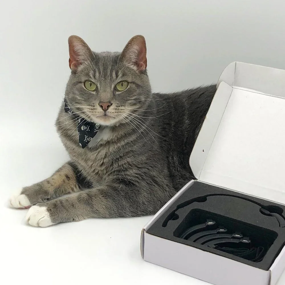 PAWTRACK GPS CAT TRACKING ADJUSTABLE USB COLLAR, New in box